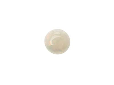 Opal, Round Cabochon, 3.25mm - Standard Image - 1