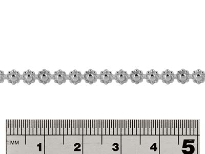 Sterling Silver Daisy Chain Berry  Gallery Strip 3.7mm - Standard Image - 2